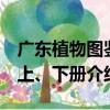 广东植物图鉴 上、下册（关于广东植物图鉴 上、下册介绍）