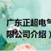 广东正超电气有限公司（关于广东正超电气有限公司介绍）