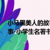 小马黑美人的故事-小学生名著书架（关于小马黑美人的故事-小学生名著书架简介）