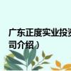 广东正度实业投资有限公司（关于广东正度实业投资有限公司介绍）