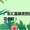 广东汇盈融资担保有限公司（关于广东汇盈融资担保有限公司介绍）