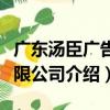 广东汤臣广告有限公司（关于广东汤臣广告有限公司介绍）