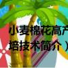 小麦棉花高产栽培技术（关于小麦棉花高产栽培技术简介）