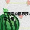 广东洋溢信息技术有限公司（关于广东洋溢信息技术有限公司介绍）