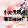 小麦优质高效栽培答疑（关于小麦优质高效栽培答疑简介）