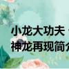 小龙大功夫 七神龙再现（关于小龙大功夫 七神龙再现简介）