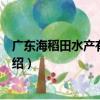 广东海稻田水产有限公司（关于广东海稻田水产有限公司介绍）