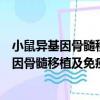 小鼠异基因骨髓移植及免疫功能重建的研究（关于小鼠异基因骨髓移植及免疫功能重建的研究简介）