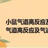 小鼠气道高反应及气道阻力与肺顺应性分析系统（关于小鼠气道高反应及气道阻力与肺顺应性分析系统简介）