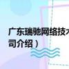 广东瑞驰网络技术有限公司（关于广东瑞驰网络技术有限公司介绍）