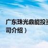 广东珠光鼎能投资有限公司（关于广东珠光鼎能投资有限公司介绍）