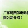 广东玛西尔电动科技有限公司（关于广东玛西尔电动科技有限公司介绍）