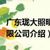 广东珑大照明有限公司（关于广东珑大照明有限公司介绍）