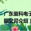 广东盈科电子有限公司（关于广东盈科电子有限公司介绍）