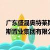 广东盛晟奥特莱斯置业集团有限公司（关于广东盛晟奥特莱斯置业集团有限公司介绍）