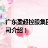 广东盈超控股集团有限公司（关于广东盈超控股集团有限公司介绍）