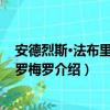 安德烈斯·法布里西奥·罗梅罗（关于安德烈斯·法布里西奥·罗梅罗介绍）