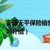 安盛天平保险销售有限公司（关于安盛天平保险销售有限公司介绍）