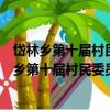 岱林乡第十届村民委员会换届选举工作实施方案（关于岱林乡第十届村民委员会换届选举工作实施方案简介）