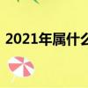 2021年属什么生肖年（2021年属什么生肖）