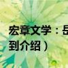 宏章文学：岳母驾到（关于宏章文学：岳母驾到介绍）