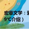 宏章文学：爱情99℃（关于宏章文学：爱情99℃介绍）