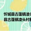 忻城县古蓬镇凌头村新时代文明实践志愿服务队（关于忻城县古蓬镇凌头村新时代文明实践志愿服务队介绍）