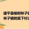 建平县榆树林子镇树底下村志愿服务小队（关于建平县榆树林子镇树底下村志愿服务小队介绍）