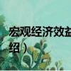 宏观经济效益会计（关于宏观经济效益会计介绍）