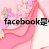 facebook是什么（Facebook是谁创立的）