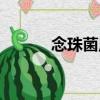 念珠菌尿（关于念珠菌尿介绍）