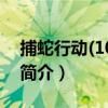 捕蛇行动(10VCD)（关于捕蛇行动(10VCD)简介）