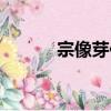 宗像芽依（关于宗像芽依介绍）