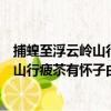 捕蝗至浮云岭山行疲苶有怀子由弟二首（关于捕蝗至浮云岭山行疲苶有怀子由弟二首简介）