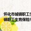 怀化市城镇职工生育保险市级统筹实施办法（关于怀化市城镇职工生育保险市级统筹实施办法介绍）