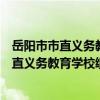 岳阳市市直义务教育学校绩效工资实施办法（关于岳阳市市直义务教育学校绩效工资实施办法简介）