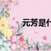 元芳是什么意思啊（元芳的意思）