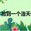 捡到一个洛天依（关于捡到一个洛天依简介）