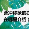 曹冲称象的办法好在哪里（曹冲称象的办法好在哪里介绍）