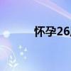 怀孕26周（关于怀孕26周介绍）