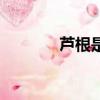 芦根是什么（芦根详细介绍）