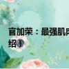 官加荣：最强肌肉健身课（关于官加荣：最强肌肉健身课介绍）