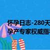 怀孕日志-280天孕产专家权威指导（关于怀孕日志-280天孕产专家权威指导介绍）