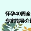 怀孕40周全程专家指导（关于怀孕40周全程专家指导介绍）