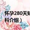 怀孕280天知识百科（关于怀孕280天知识百科介绍）