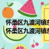 怀柔区九渡河镇东宫村新时代文明实践志愿服务分队（关于怀柔区九渡河镇东宫村新时代文明实践志愿服务分队介绍）