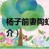 杨子前妻陶虹个人资料（关于杨子前妻陶虹简介）