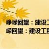 峥嵘回望：建设工程房地产等典型案例复盘与研判（关于峥嵘回望：建设工程房地产等典型案例复盘与研判简介）