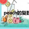 peach的复数形式是什么（peach是什么意思）