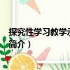 探究性学习教学示例·美术（关于探究性学习教学示例·美术简介）